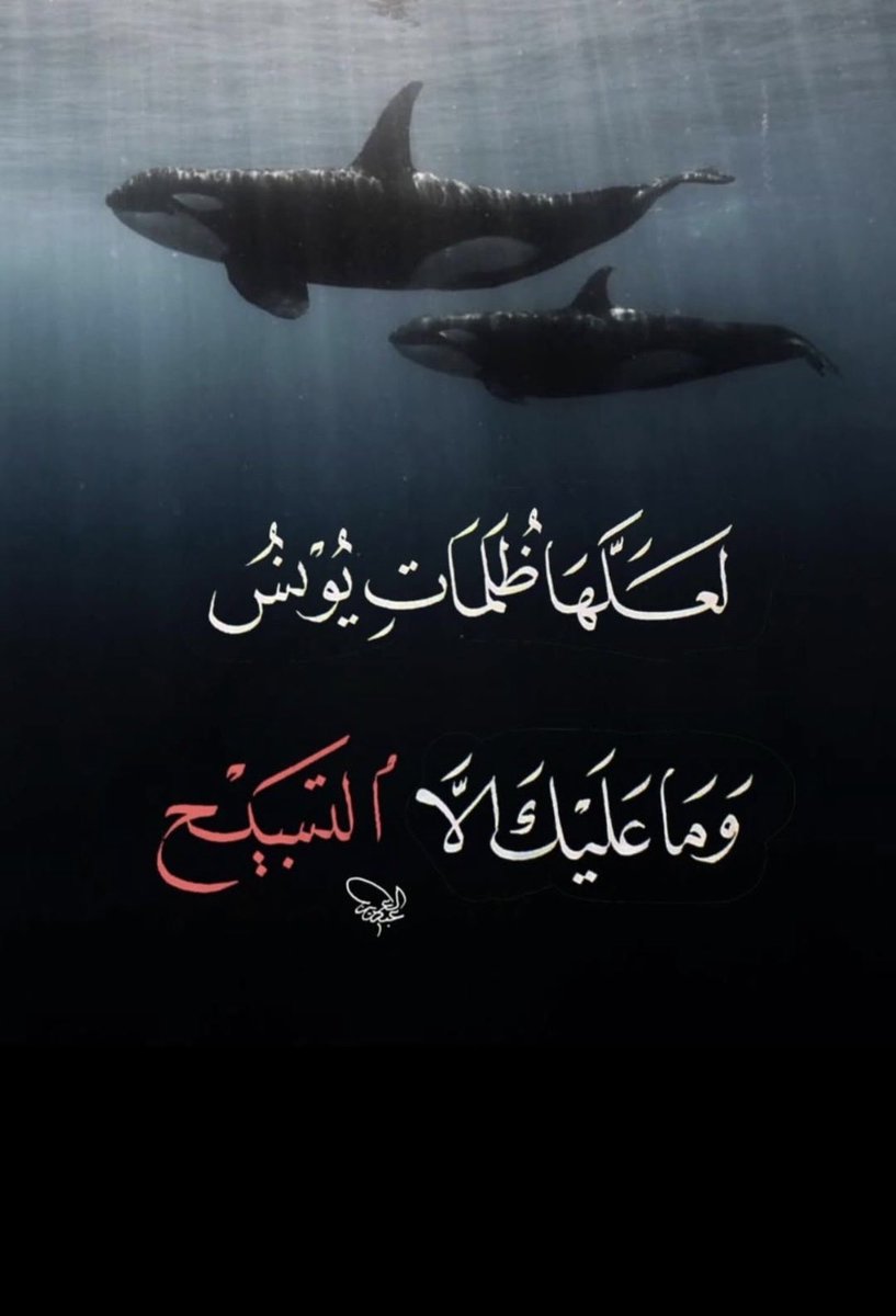 GeferSalwa's tweet photo. @mmzn6529 https://t.co/7tXk1st1q2