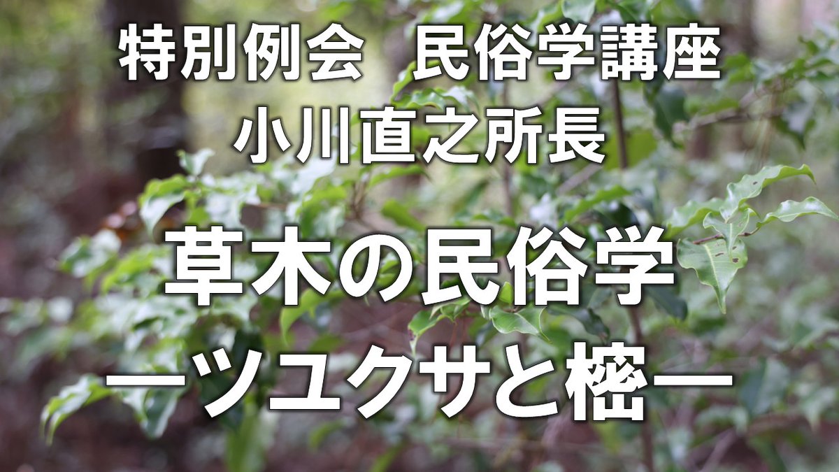 inaminken's tweet photo. 7月11日（土）15時～17時、柳田館で小川直之所長の特別例会　民俗学講座 「草木の民俗学―ツユクサと樒―」を開催します。
資料代500円。非会員の方も聴講できます。
研究所会員はライブ動画を視聴できます。
なお、 14時15分から同会場で交流会を開催します。
会員の皆さんはお気軽にご参加ください。 https://t.co/aPqCcaWD7X