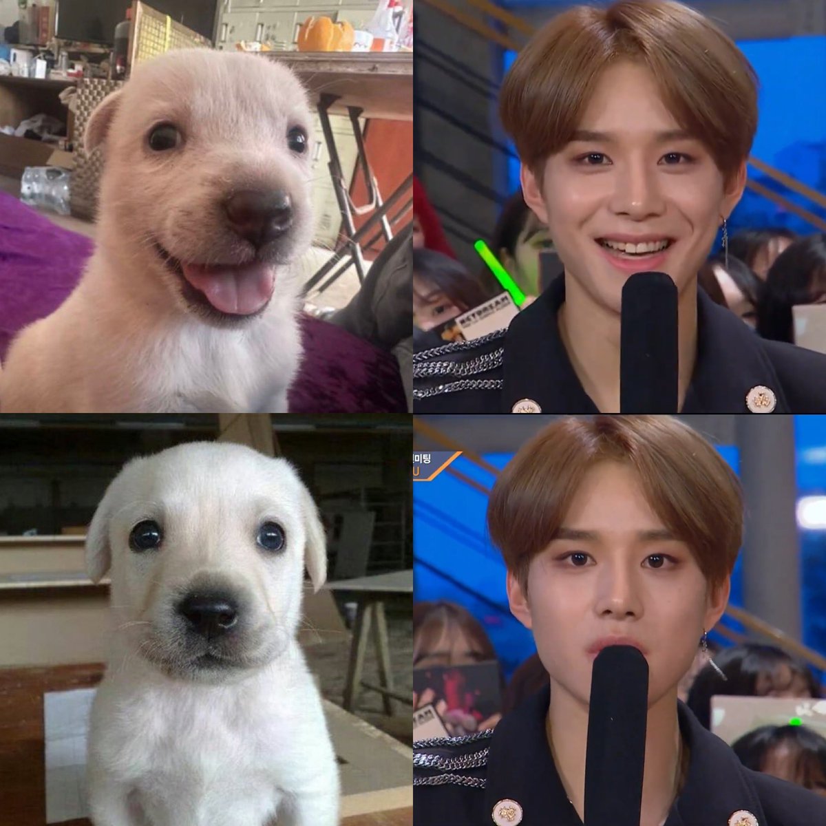 snoopeacheese's tweet photo. 😭😭😭 https://t.co/Pjr9xh6T9t