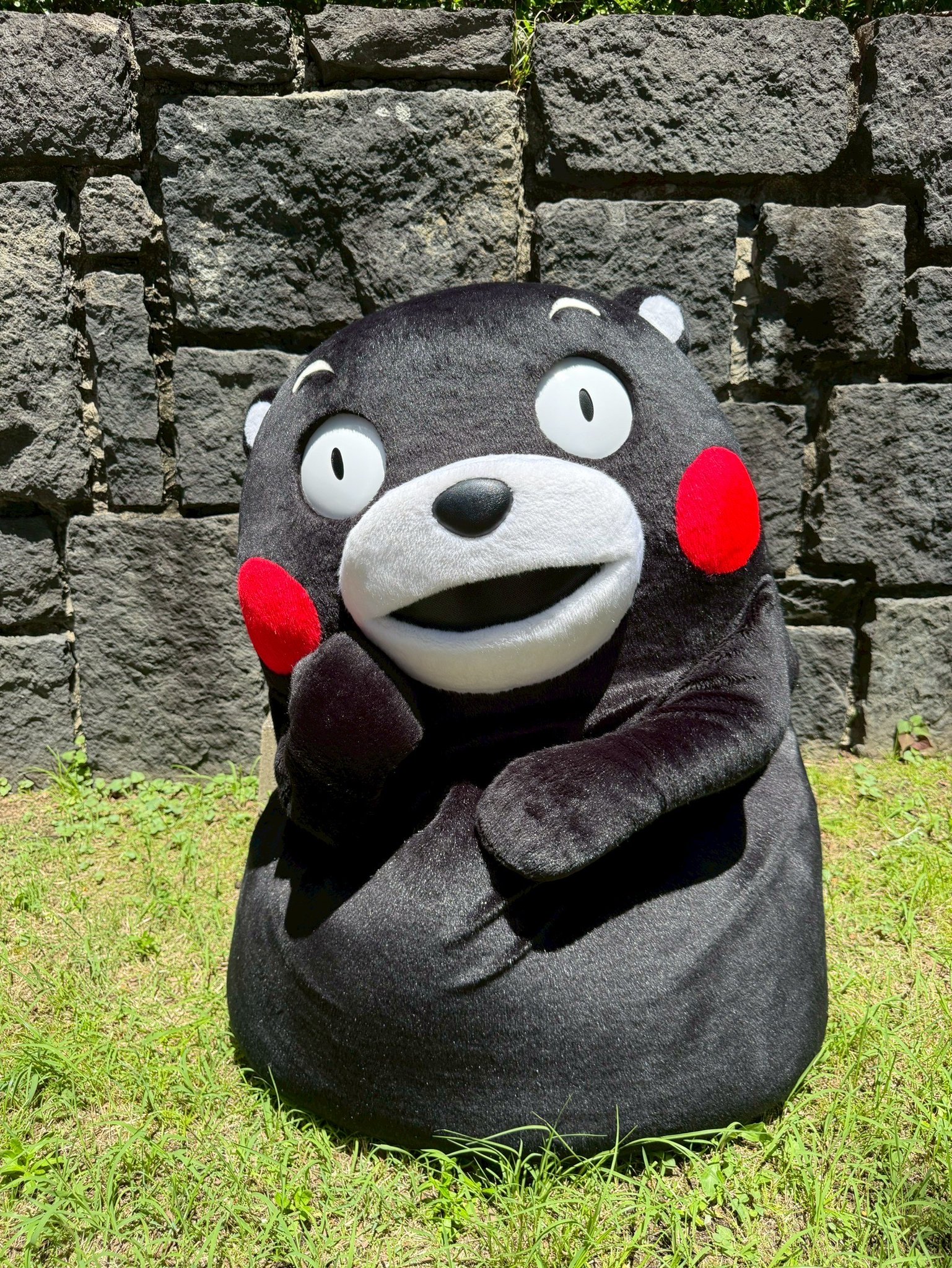 くまもん　火曜日発送木曜日午前着指定 HMwP2T0aMAAD8FR.jpg:large