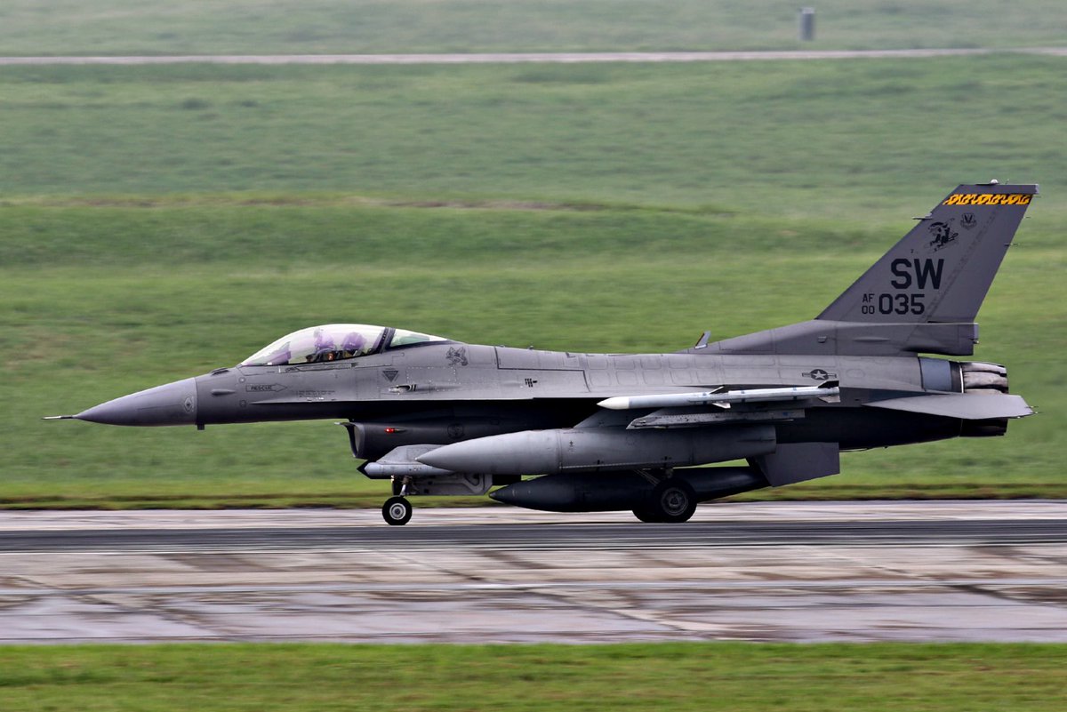 79の日 79th Fighter Squadron “Tigers” 前回より少しだけ増えたパッチ