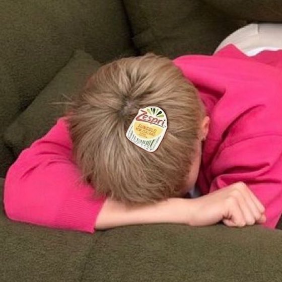 thiti95_'s tweet photo. 🥝🧺 ? https://t.co/a4pKWBqL4B