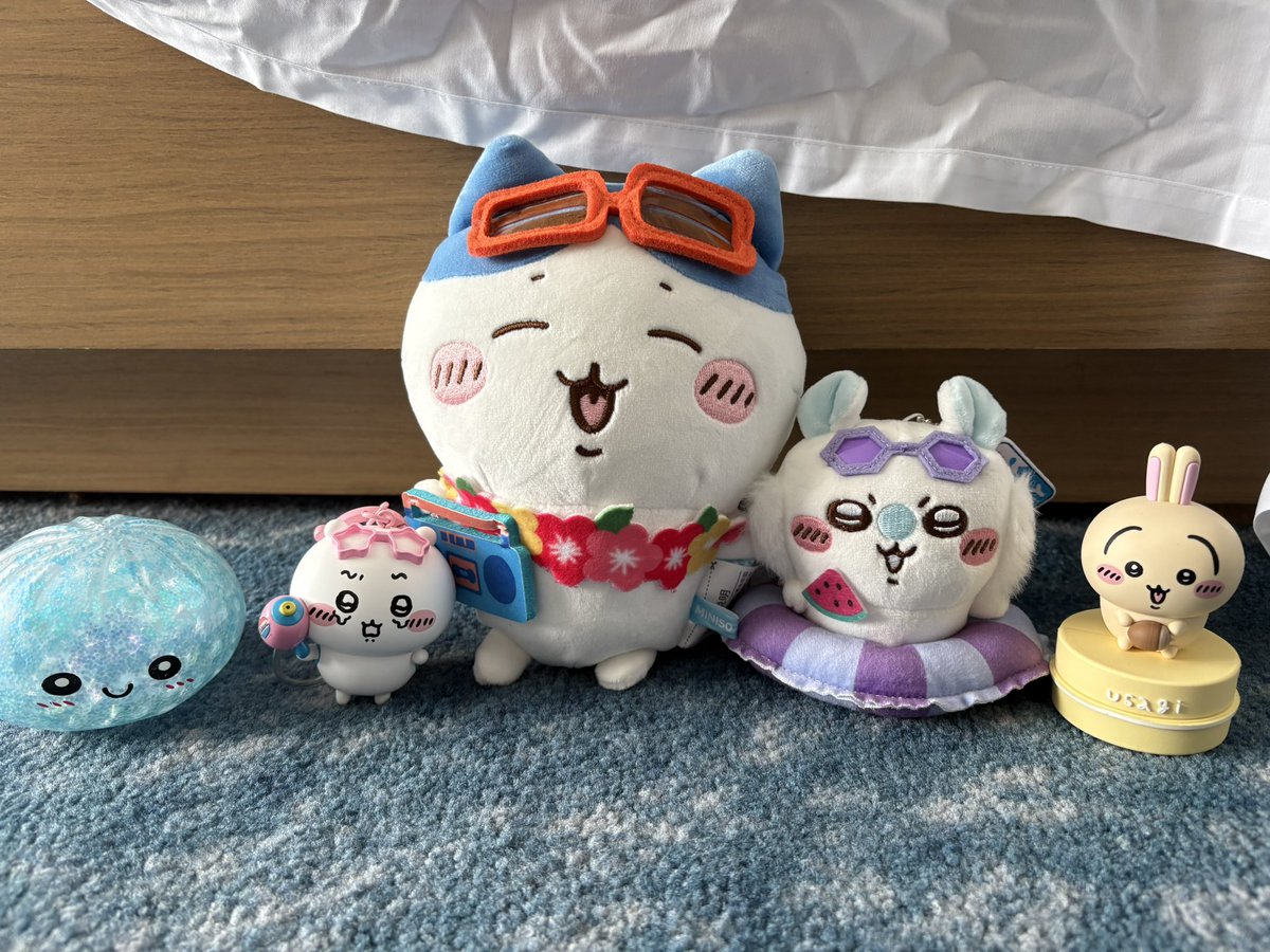 Lolu916's tweet photo. I'm in Vietnam now and I'll be back drawing for you on Saturday! AND OH MY GOD I FINALLY BOUGHT SOME ORIGINAL Chiikawa MERCH.❤️ https://t.co/rqtNqQnp3b