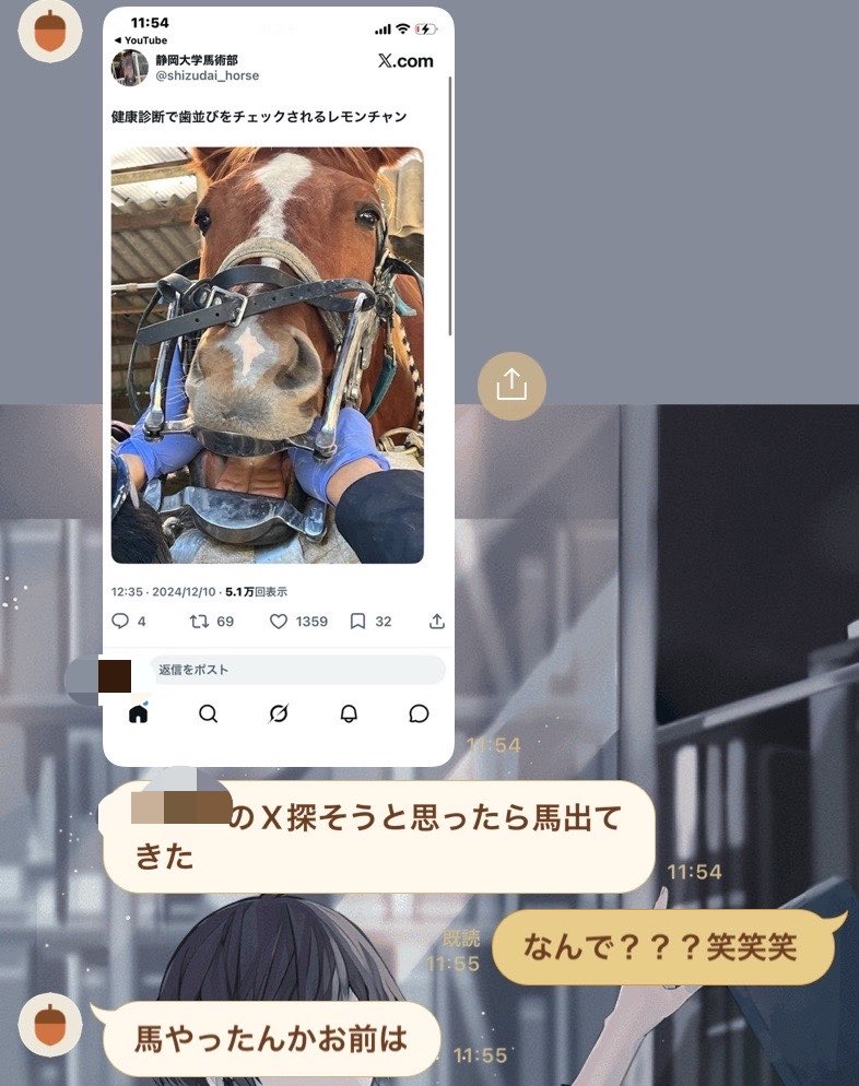 leqash1's tweet photo. この馬レモンちゃんです
よろしく https://t.co/T1OISRTP16