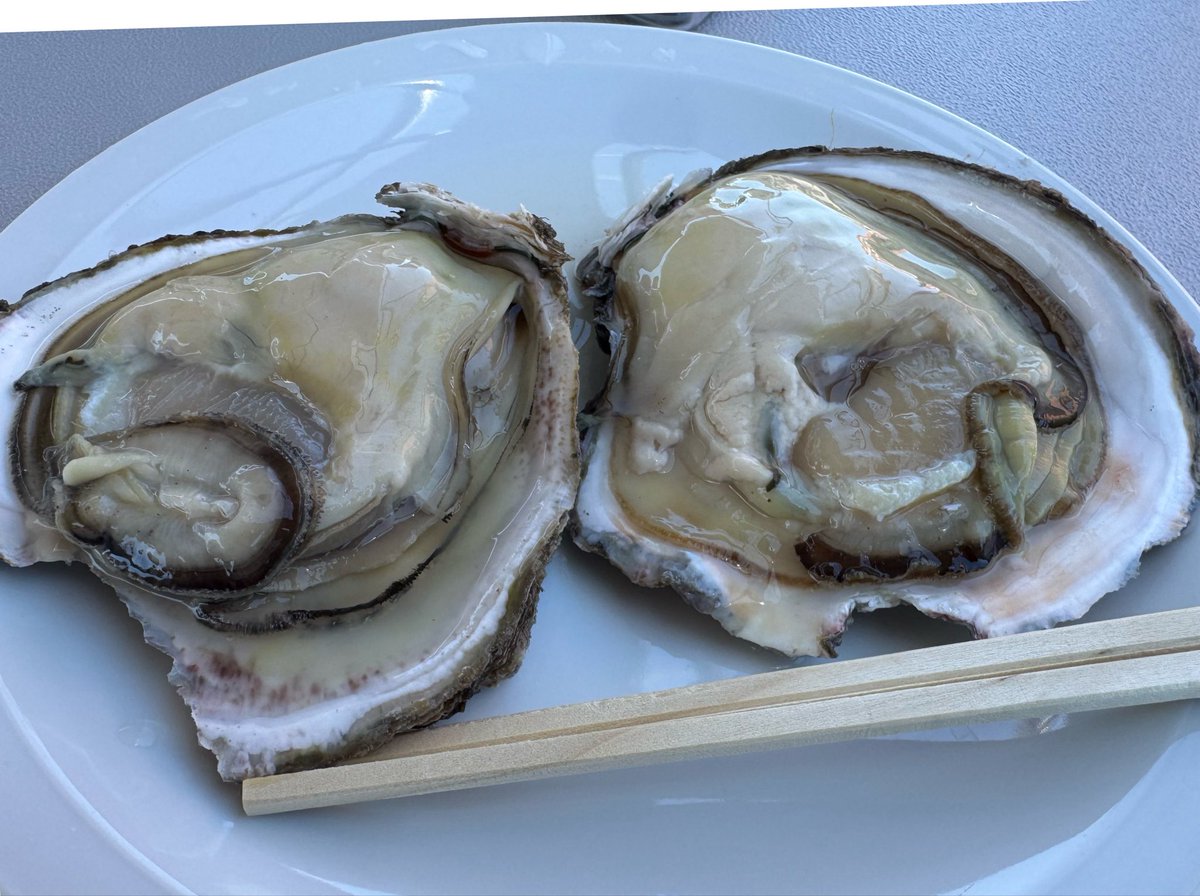 O08N3's tweet photo. 久しぶりの木曜日天気☀️
近所周りをバイクの練習
また岩牡蠣を食べにいきました
暑すぎて帰宅します https://t.co/QmWPkeHhzG