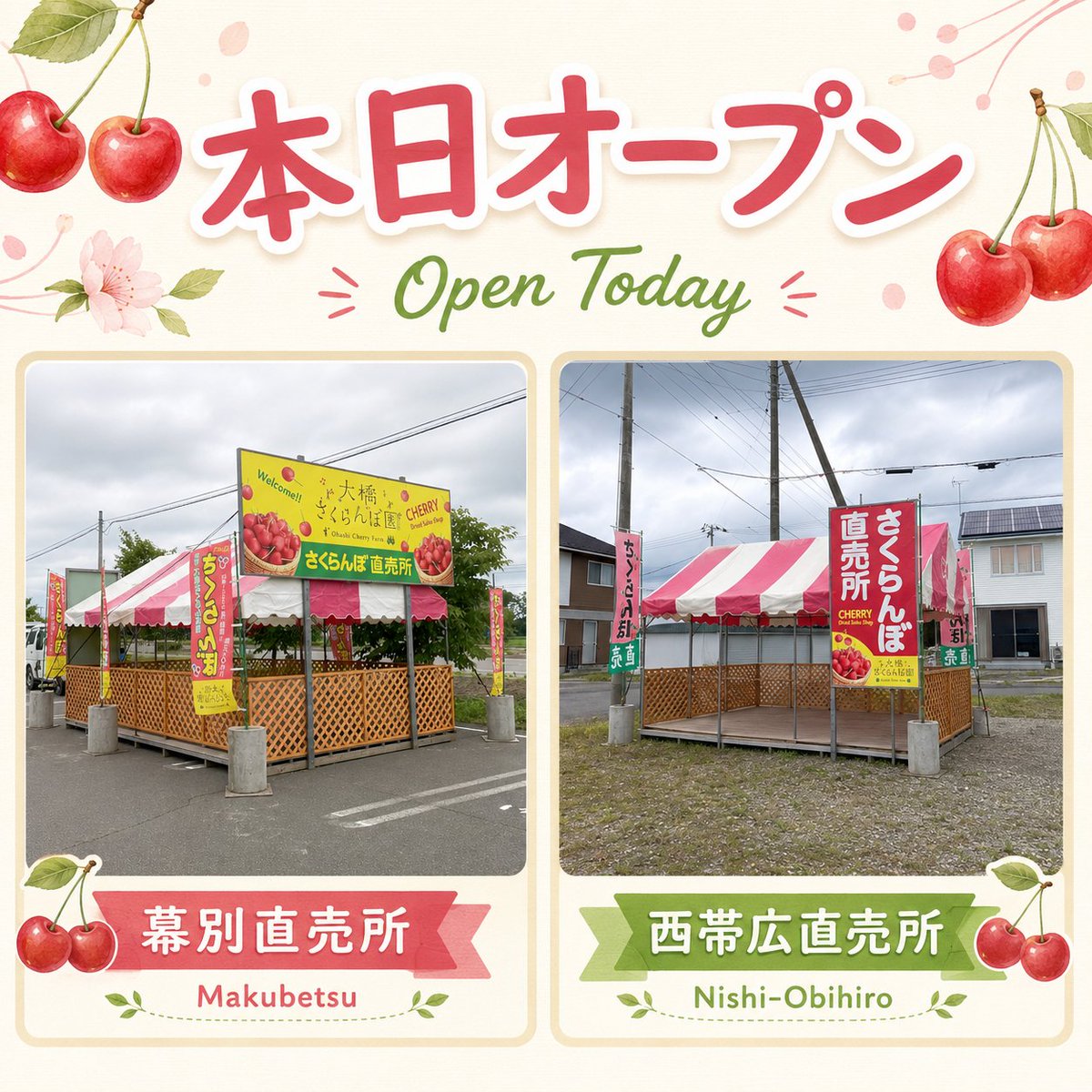 oh_Cherry_Farm's tweet photo. 🍒西帯広直売所・幕別直売所 本日オープン！🍒

本日より営業を開始しました😊

芦別の農園で収穫した、旬のさくらんぼを十勝の皆さまへお届けします！

品種や数量は日によって異なり、売り切れ次第終了となる場合があります。

📍詳しい場所はこちら
https://t.co/dnDJetWAHt
#大橋さくらんぼ園 https://t.co/Lj1uxIbGSc