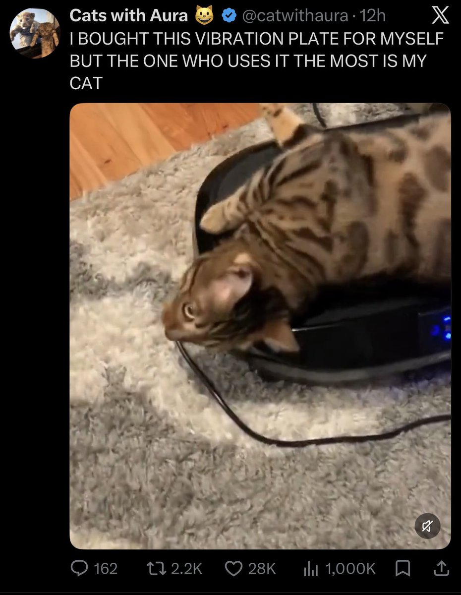 iamfivess's tweet photo. @catwithaura 1,000k is crazy https://t.co/TX57mCIzUV