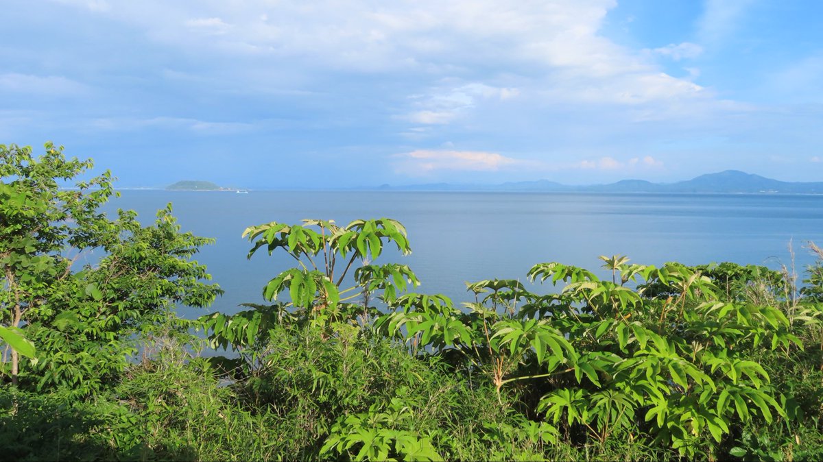shigsak2's tweet photo. #長崎県 南島原にあるキリシタン遺構の原城跡に行った際に立ち寄った #吉田屋 で長崎県産の山田錦とオシロイバナ酵母を使った純米吟醸に出会いました。
フルーティーさとガツンとくる旨味・辛味があるインパクトさがうまい。
詳しくはブログにて。

https://t.co/lp8uLwG4R5 https://t.co/PwlcgGFUa1