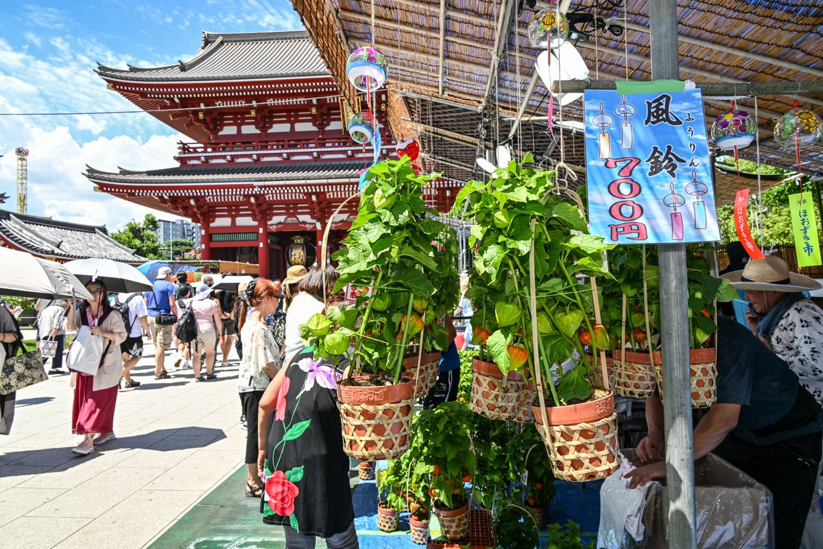 sensouji_O's tweet photo. #四万六千日
7月9日(木)・10日(金) 
#ほおずき市 #浅草寺 https://t.co/Xz38DyadOP