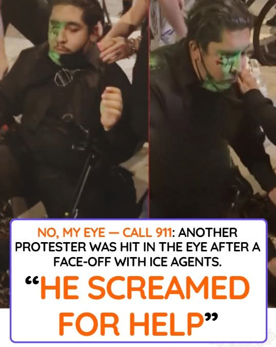 Anti Left Memes tweet media