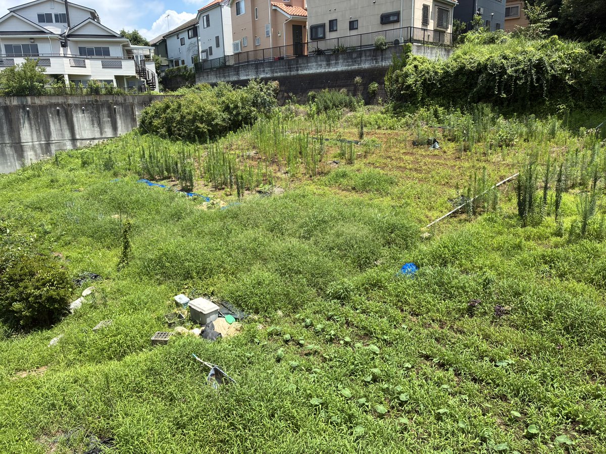中谷家継ページ 米谷家継 (@IETSUGU) / Posts / X