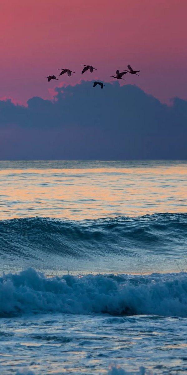 cozyycabin's tweet photo. Ocean >>> https://t.co/B0xWPdAOcA