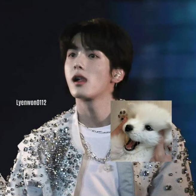kittywonuuu's tweet photo. I made a doll of Seongwook🥹 https://t.co/vVCZhatVQQ