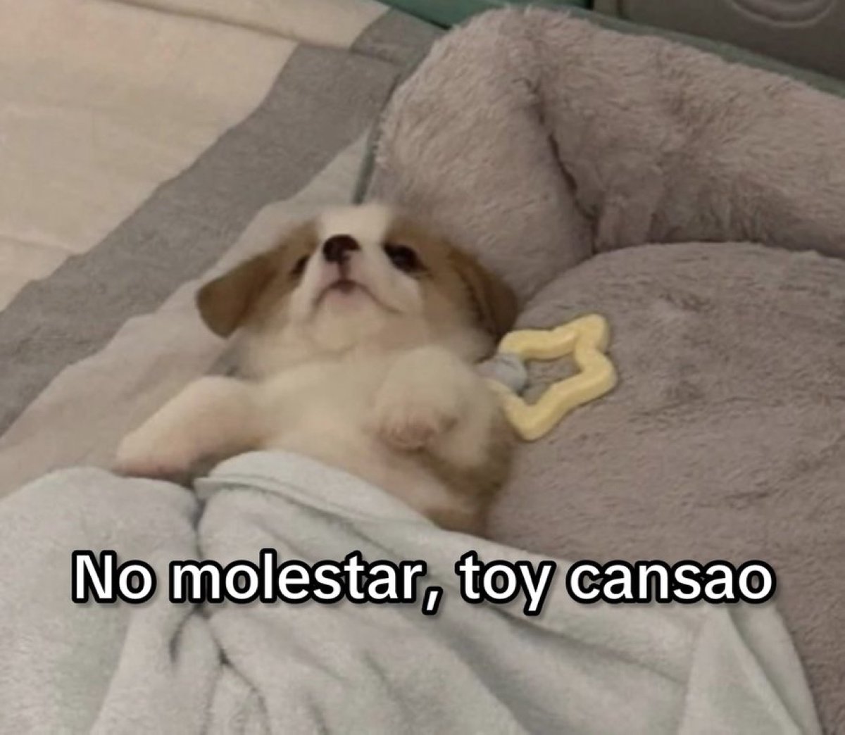 Guarromantico_'s tweet photo. Yo cada que llego a mi casa después de chambear: https://t.co/Obbo8ZRrb8