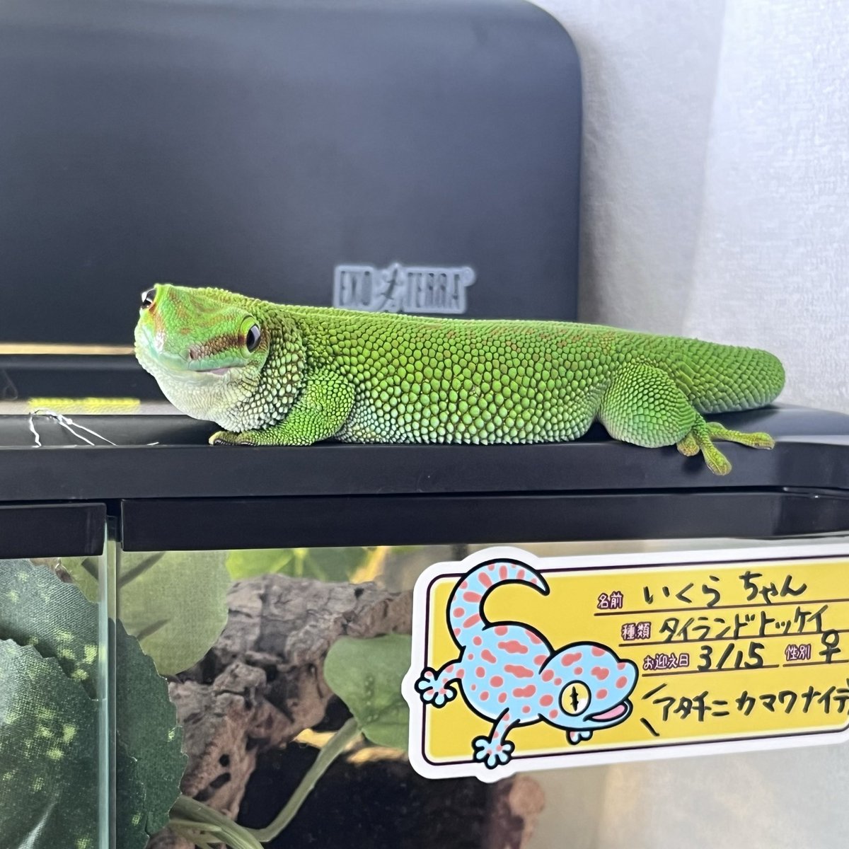 perochan622's tweet photo. カメラ向けると絶対こっち見るよね🤭 https://t.co/s5QdpT6xU0