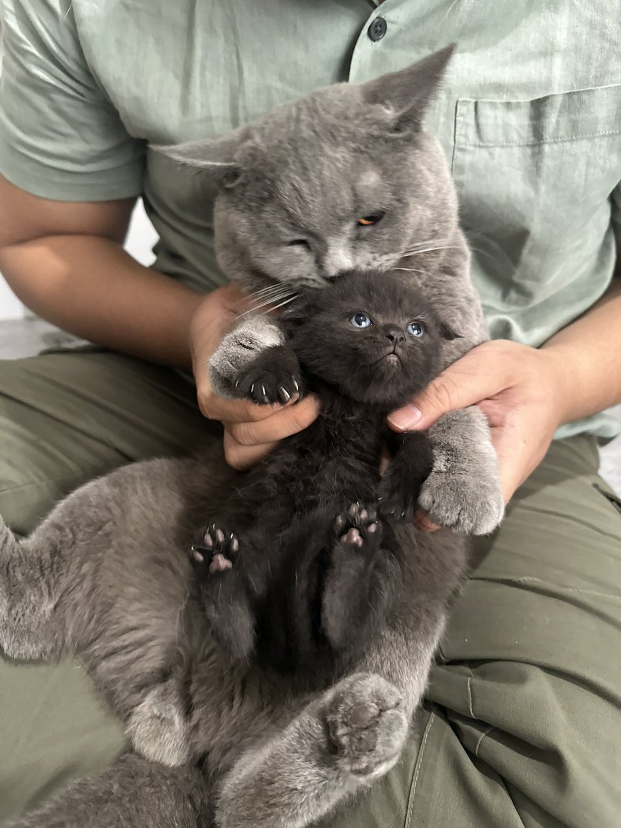yukithecharcoal's tweet photo. Aku dan bapak ku

Tapi skrg aku lebih gede dan lebih bapak2 mukanya dibanding bapak ku sendiri https://t.co/UeZfPM5Kmj