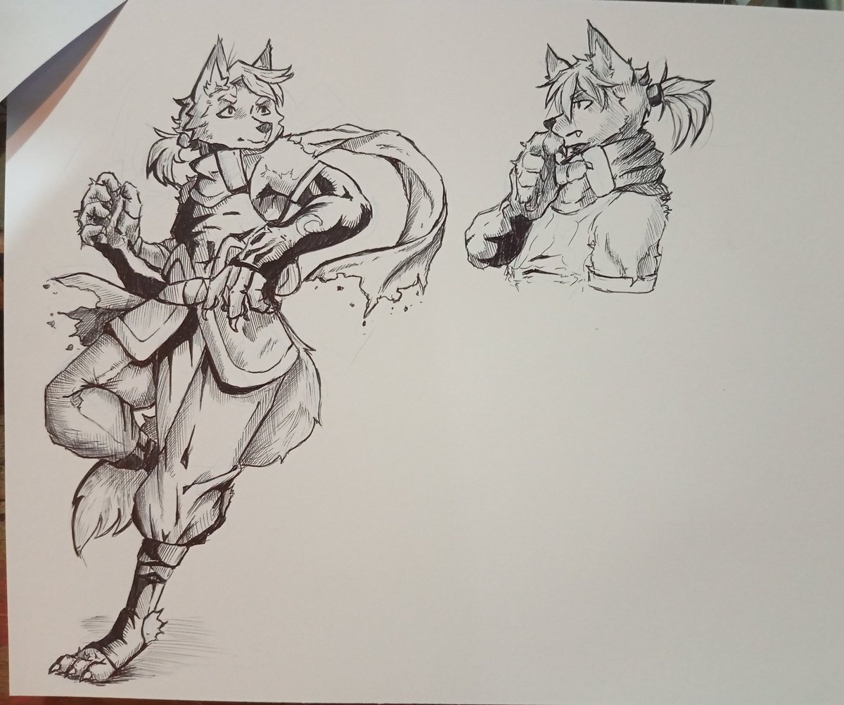 tobyGarcia26's tweet photo. Nunca subestimes el poder de un bolígrafo 
Never underestimate the power of a pen
#furryart #ink #drawing #wolfㅤ https://t.co/VyDCYNwVYU