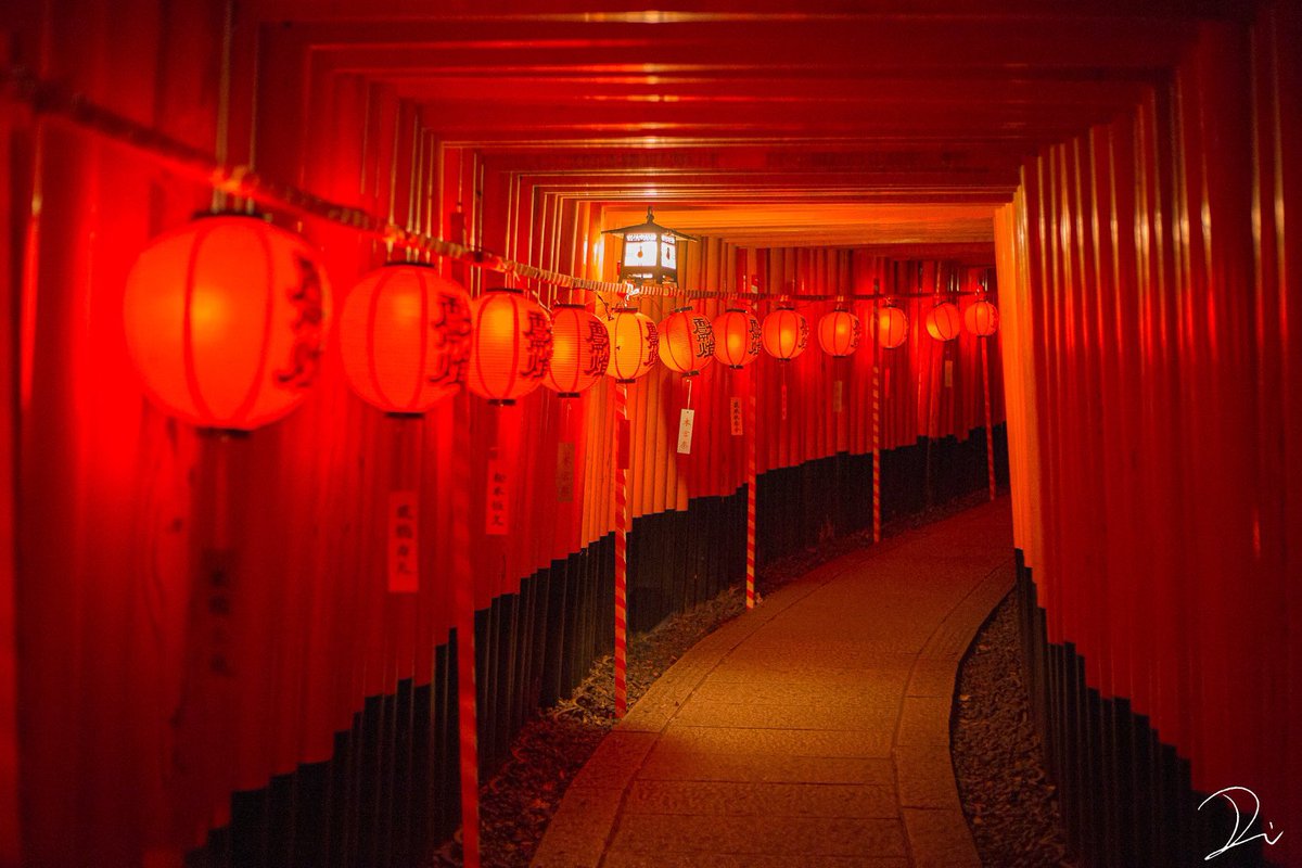 usalica's tweet photo. 京都の夜が異界に繋がるお祭り🏮

7月の伏見稲荷大社の本宮祭では、千本鳥居に提灯が連なります。
日が暮れて暗くなると、まるで異世界に繋がっているかのような妖艶で美しい風景が見られます。
千本鳥居の奥から頂上に向かう途中にある、時計台のある四つ辻
時計台を背中にして左側にある、北の階段を上がっていくと展望所があり、そこでは提灯で形どられた大きな鳥居を見ることができます。
ちなみに、この提灯の鳥居は下から見てもちゃんと鳥居の形に見えます。

上の方まで提灯が吊られているので、見に行ってみてください。