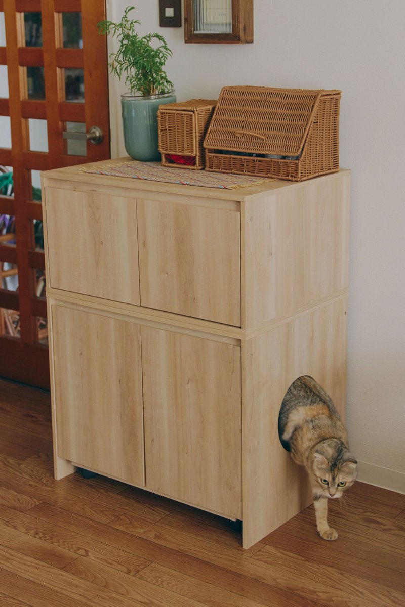 salut_shop's tweet photo. coming soon...🐈 https://t.co/C3yItDNgm4