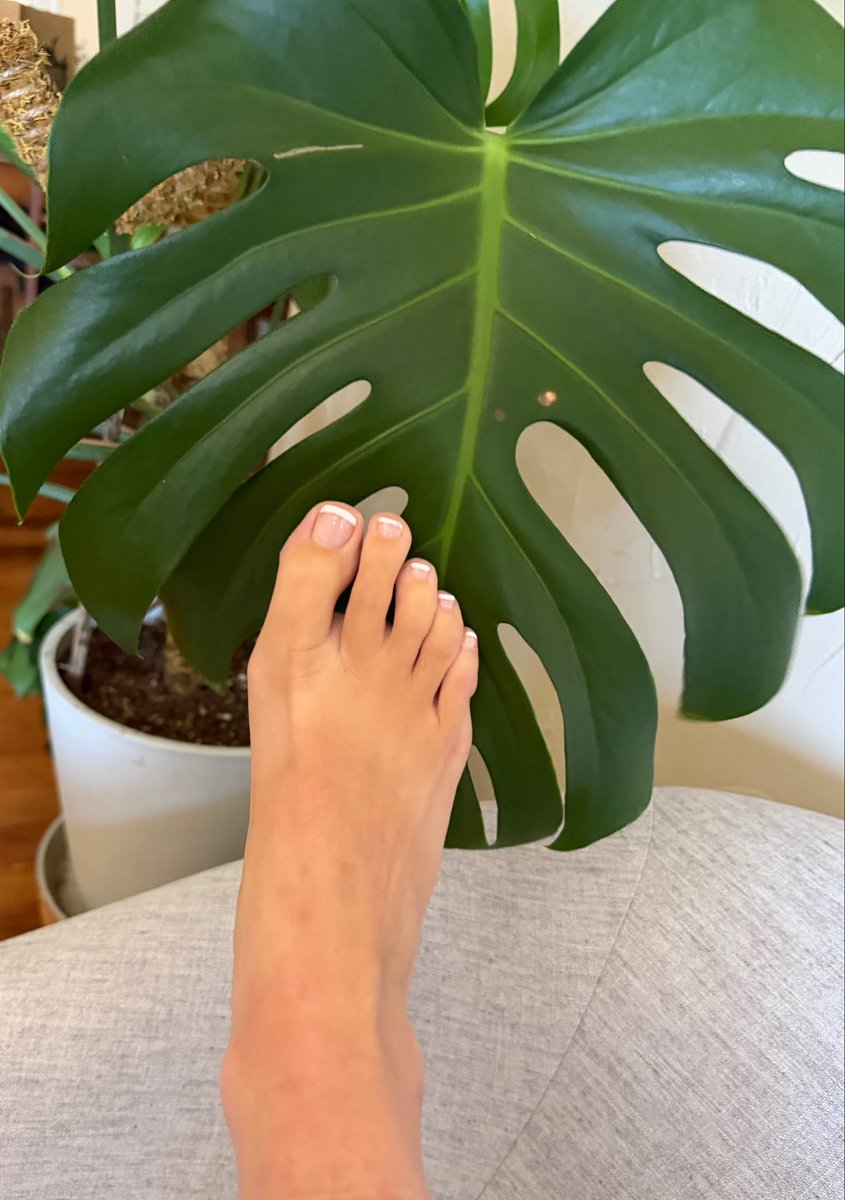 KookyKat143's tweet photo. Welcome to the jungle, we’ve got fun and foot games ;) 🦶🏻🪴

#footfetısh #HotLook #feetseller https://t.co/52gcDYGkuJ