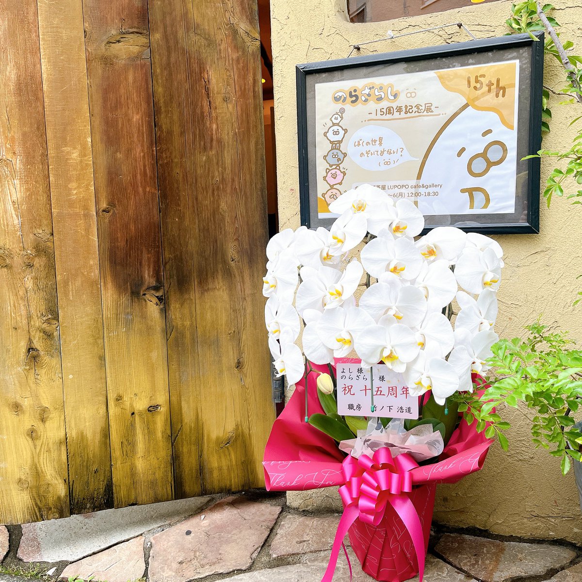 norazarashi's tweet photo. たくさんのお花💐みんなありがとうのら〜🥹とってもとってもうれしかったのら〜✨✨╰(*´∞`*)╯✨✨

🤍一生わすれないのらぁ〜🦭🩶

#のらざらし15周年記念展
@Lupopo_cafe 
#のらざらし https://t.co/0kmIhH4MqR