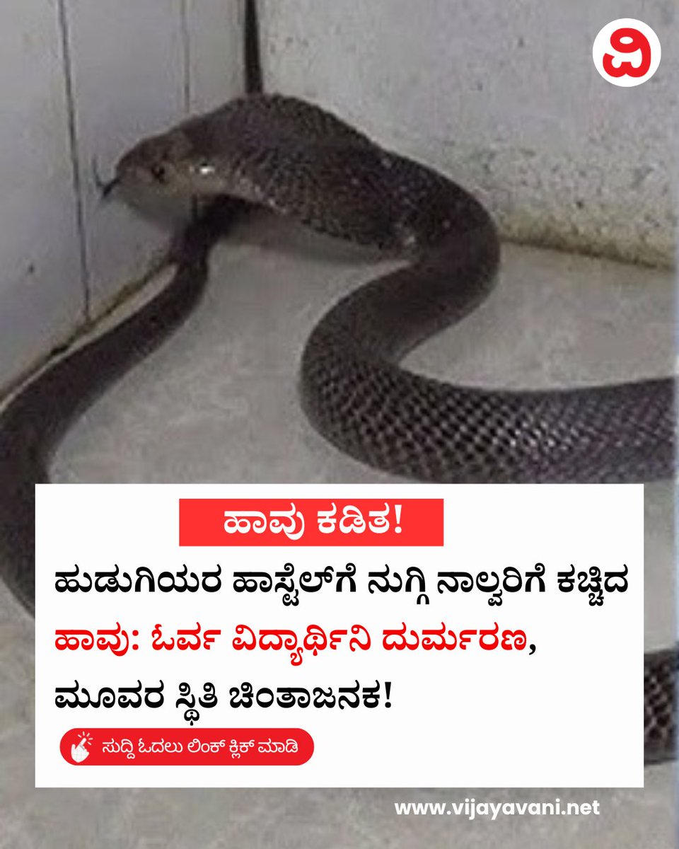 Vijayavani_Digi's tweet photo. ಹುಡುಗಿಯರ ಹಾಸ್ಟೆಲ್ಗೆ ನುಗ್ಗಿ ನಾಲ್ವರಿಗೆ ಕಚ್ಚಿದ ಹಾವು: ಓರ್ವ ವಿದ್ಯಾರ್ಥಿನಿ ದುರ್ಮರಣ, ಮೂವರ ಸ್ಥಿತಿ ಚಿಂತಾಜನಕ! Snake Bite
#SnakeBite #Snake #GirlsHostel #SnakePoison #KannadaNews #VijayavaniNews
https://t.co/pjlFfvA6Fw https://t.co/uiclZPumzT