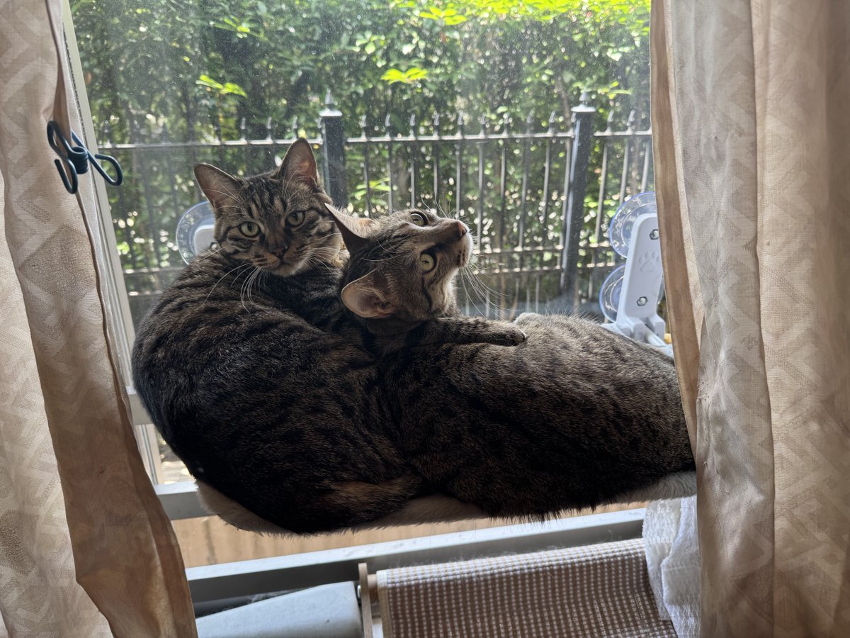 wolftn's tweet photo. 仲良しですね。
　　スタスキー＆ハッチ https://t.co/GtNbghXanW