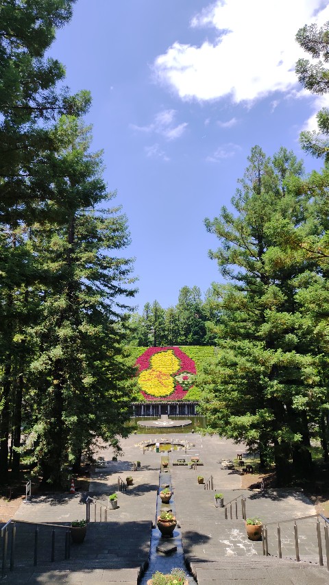 jn0219's tweet photo. ヒョウタンも鮮やか。
#宇治市植物公園 https://t.co/QP2UCBg7P4
