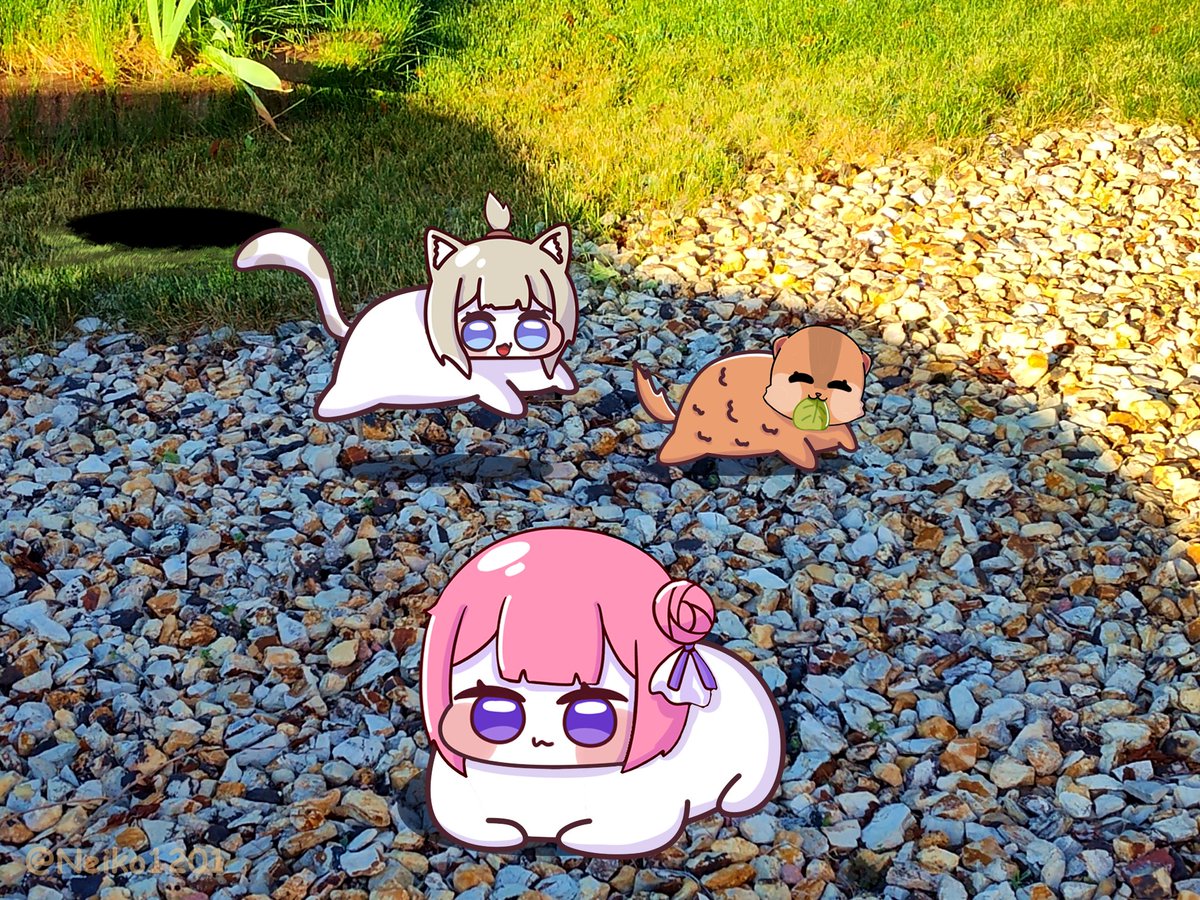 Wild Doro and friends are very lively today. Though Doro is