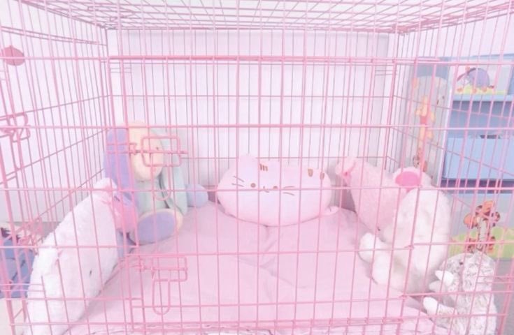 knottbait's tweet photo. >\\\< dream bed!!! 𐂯 🐾 .ᐟ⸝⸝ https://t.co/jrmWFIZPCW