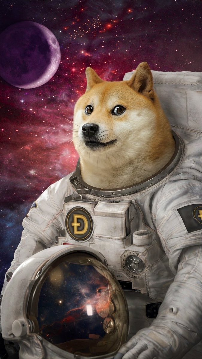 TeslaModelDoge's tweet photo. I heard $DOGE is going to the moon soon 🚀 https://t.co/27d5j0vD7m