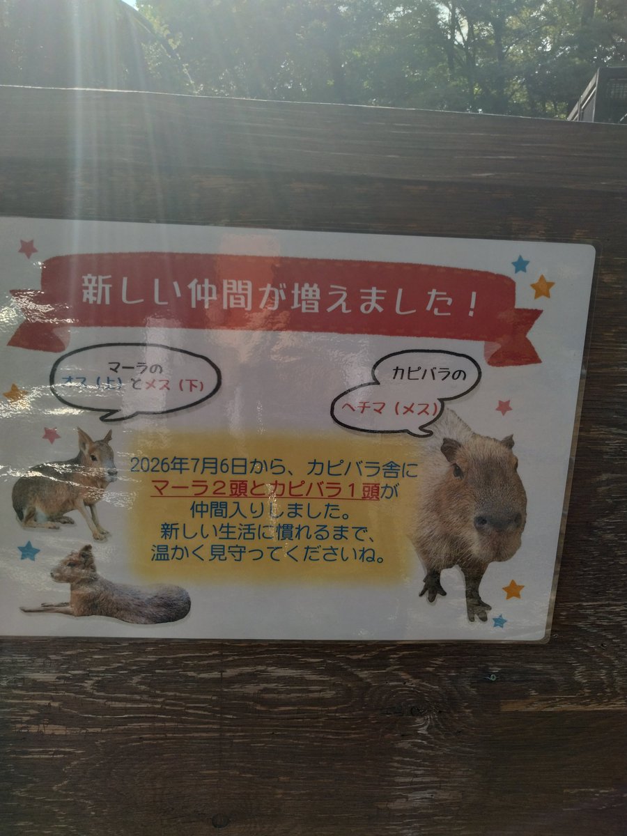 ねず子 (@aozoranosita328) / Posts / X