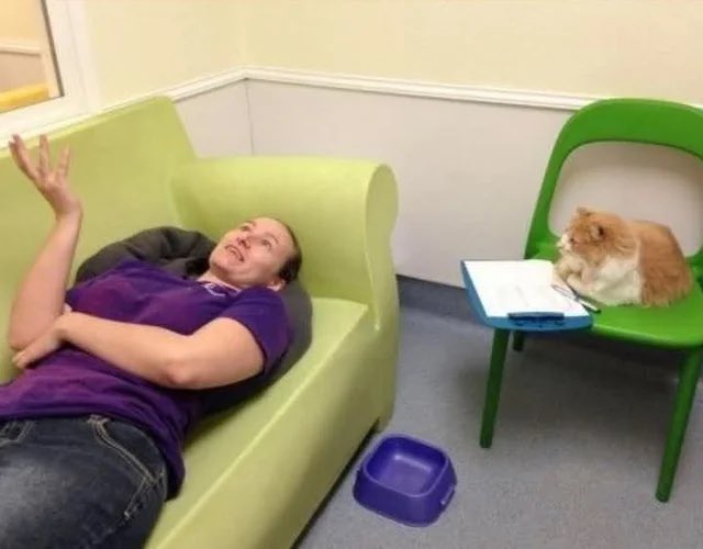 Tortishelcat's tweet photo. And then he said “i think i’ll grieve you longer than i’ve known you” https://t.co/GARPyOpDhi