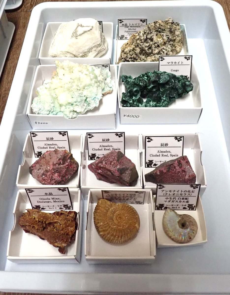 shisas_lab's tweet photo. 今日はミネラルマルシェ栃木ベースに、商品の入れ替え、補充に行ってきました。
下記の商品を新たに追加！
合成石は、合成ルビーが品切れだったので追加してきました！週末にでも是非！！ https://t.co/OgzdC4SiGb