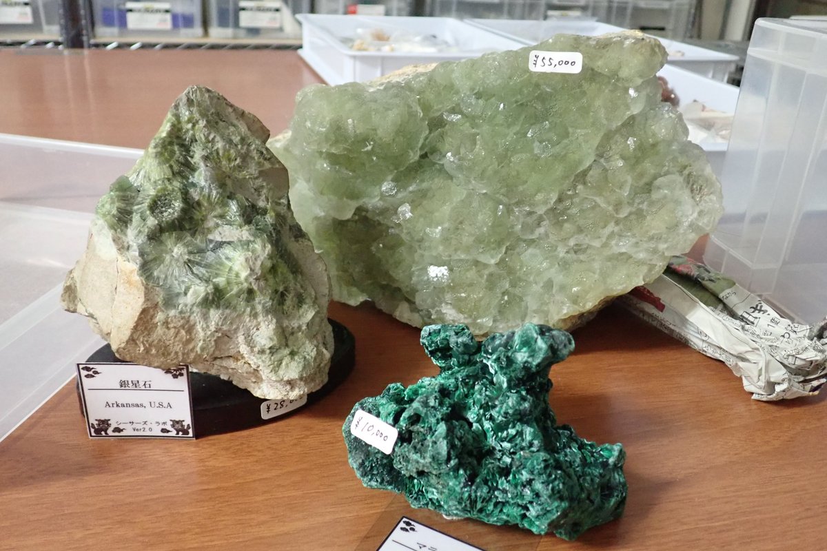 shisas_lab's tweet photo. 今日はミネラルマルシェ栃木ベースに、商品の入れ替え、補充に行ってきました。
下記の商品を新たに追加！
合成石は、合成ルビーが品切れだったので追加してきました！週末にでも是非！！ https://t.co/OgzdC4SiGb