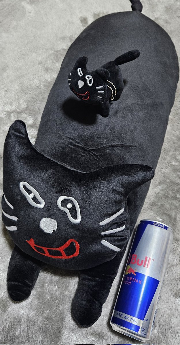 enryu9029's tweet photo. デカキヨ猫 https://t.co/qdLCtN7j0W