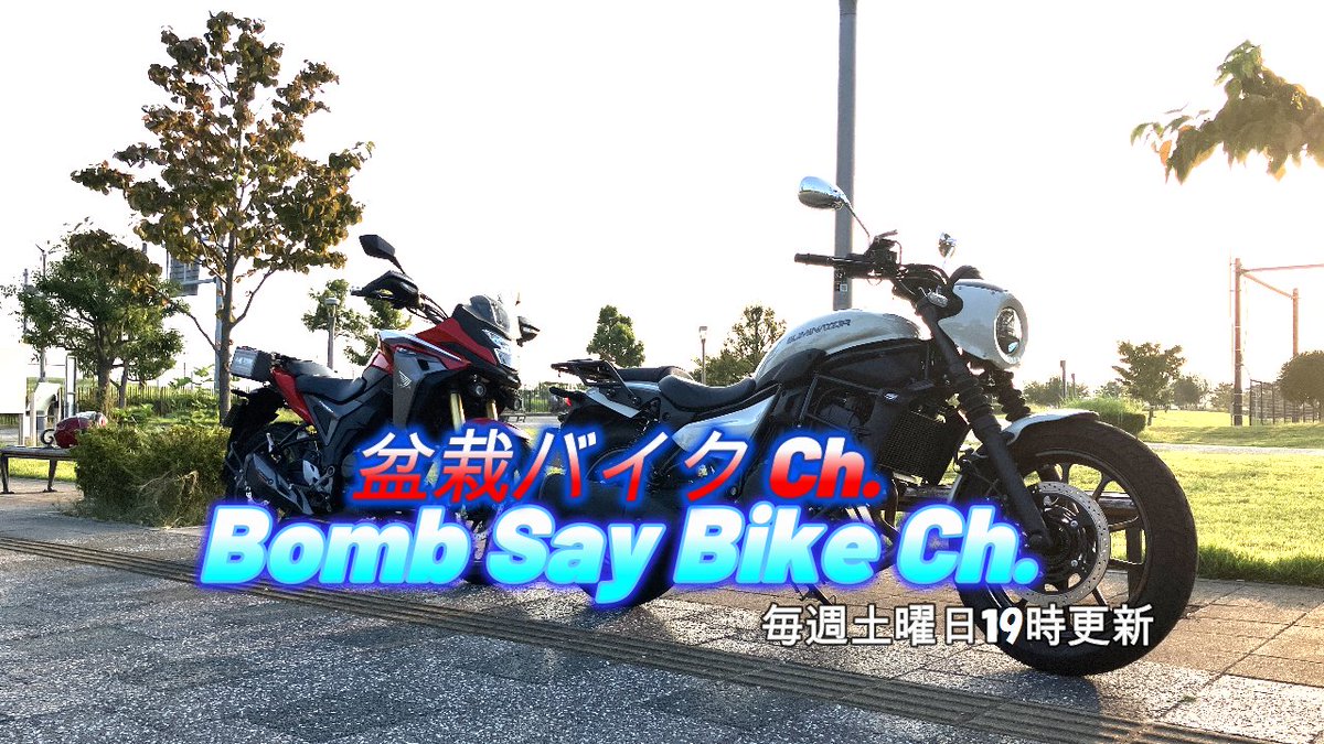盆栽 (@bombsaybike) / Posts / X