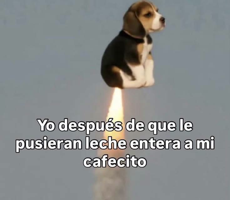 DiloConPerritos's tweet photo. No era deslactosada :( https://t.co/pyBYgwnRAI