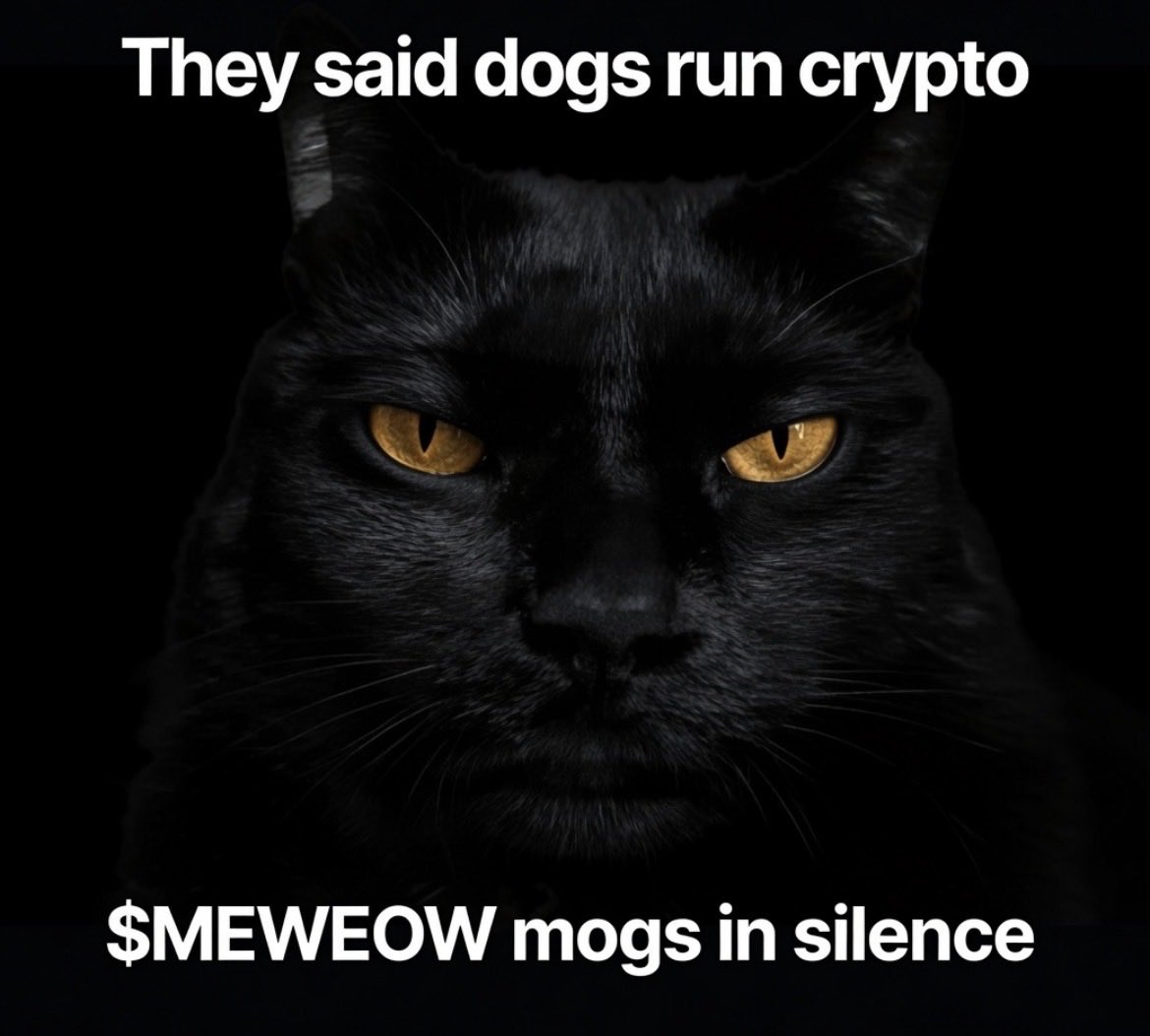Mewing Cat tweet media