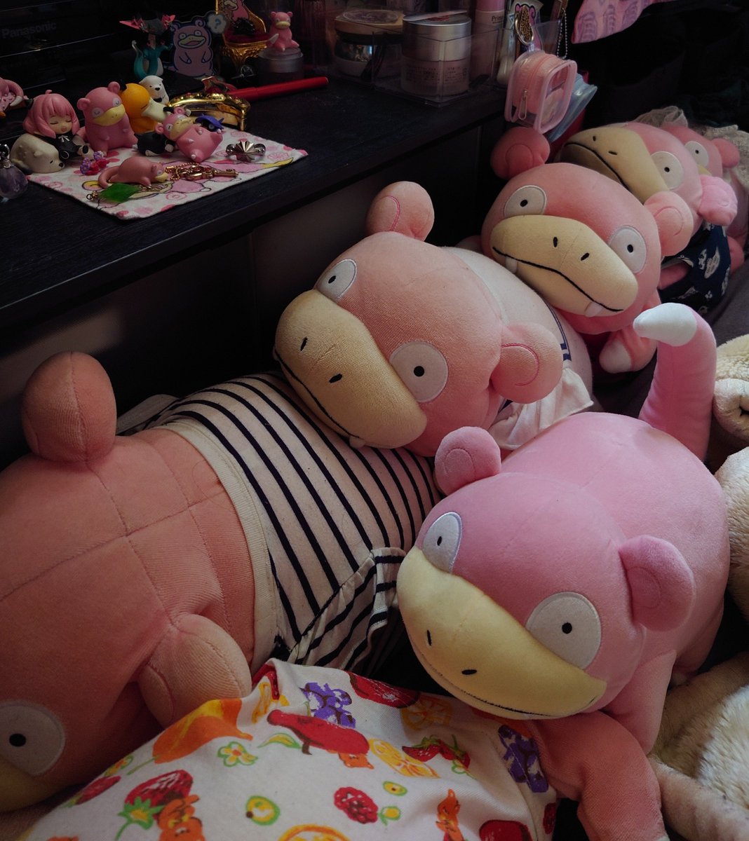 奥から三番目の子と目が合うなぁ 一番新入りのヤドンちゃん(三年目程