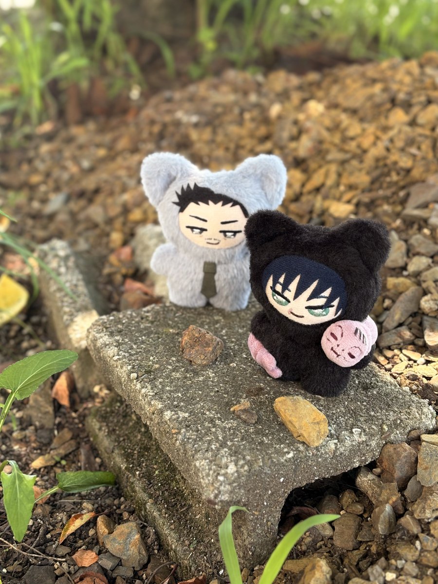 tojichimi's tweet photo. しうちみ「くえる“み”がとれるばしょがあるんだ、ぜんいん いちまいかまないか？」

とじちみ「いいぜ、そのはなしうけてやる」 https://t.co/OsgTH7ws5j