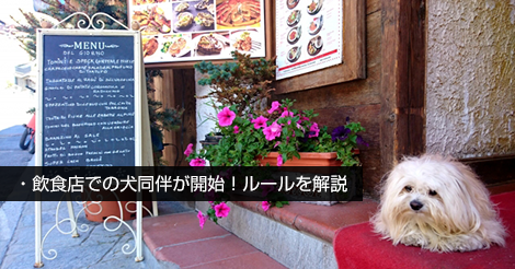 HKBS_JP's tweet photo. 飲食店での犬同伴がスタート！香港政府がルールを発表
香港政府は本日から始まる飲食店への犬の同伴入店制度にあわせ、利用者や店舗側が守るべきルールを発表。「3つの主なルール」「知っておくべき対応」「今後の見通し」「飲食店向けのガイドライン」についてお伝えします。
https://t.co/KPEboSRVqS https://t.co/UiywdaFv3x
