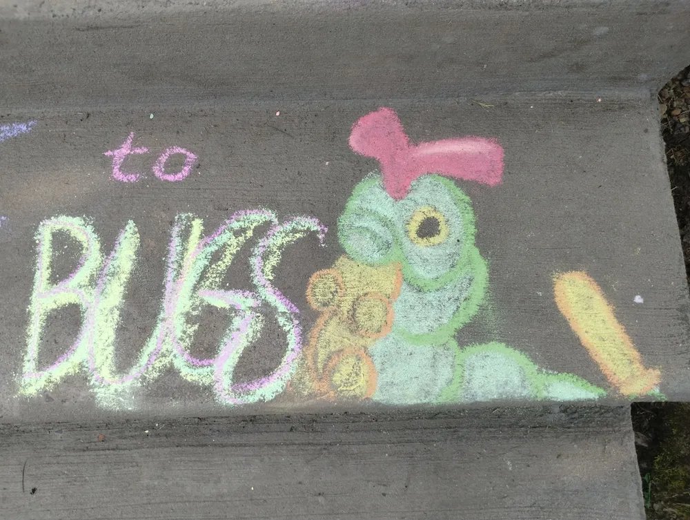StrawyberrySk8s's tweet photo. A friendly reminder from ur local rabbit <3
#art #chalk #pokemon #combee #caterpie #bug #bugs #cute #chalkart #outdoorart #bugpokemon #smallartist #chalkartist #bekind https://t.co/6qvACjzZVF