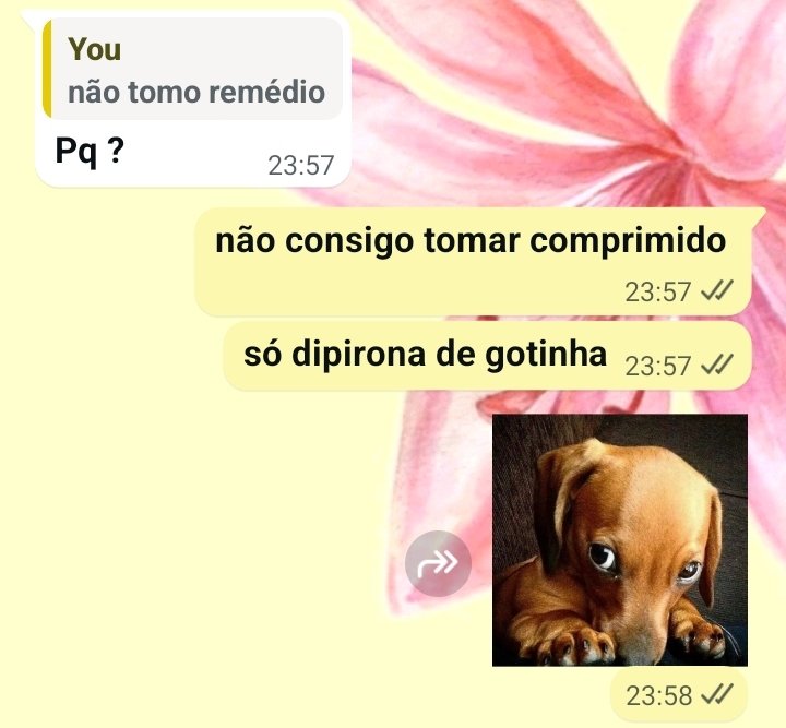 larucci trem balinha da vu tweet media