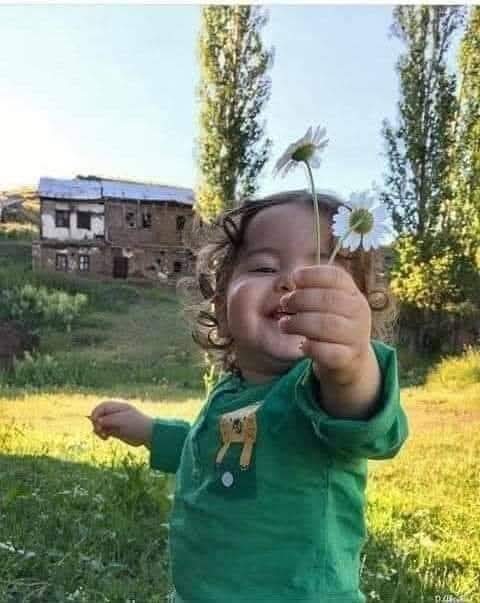 mazlum3m's tweet photo. #Umut oldukça, her yeni gün bir başlangıçtır..
   Günaydınlar.. https://t.co/VK5aoX7ap1