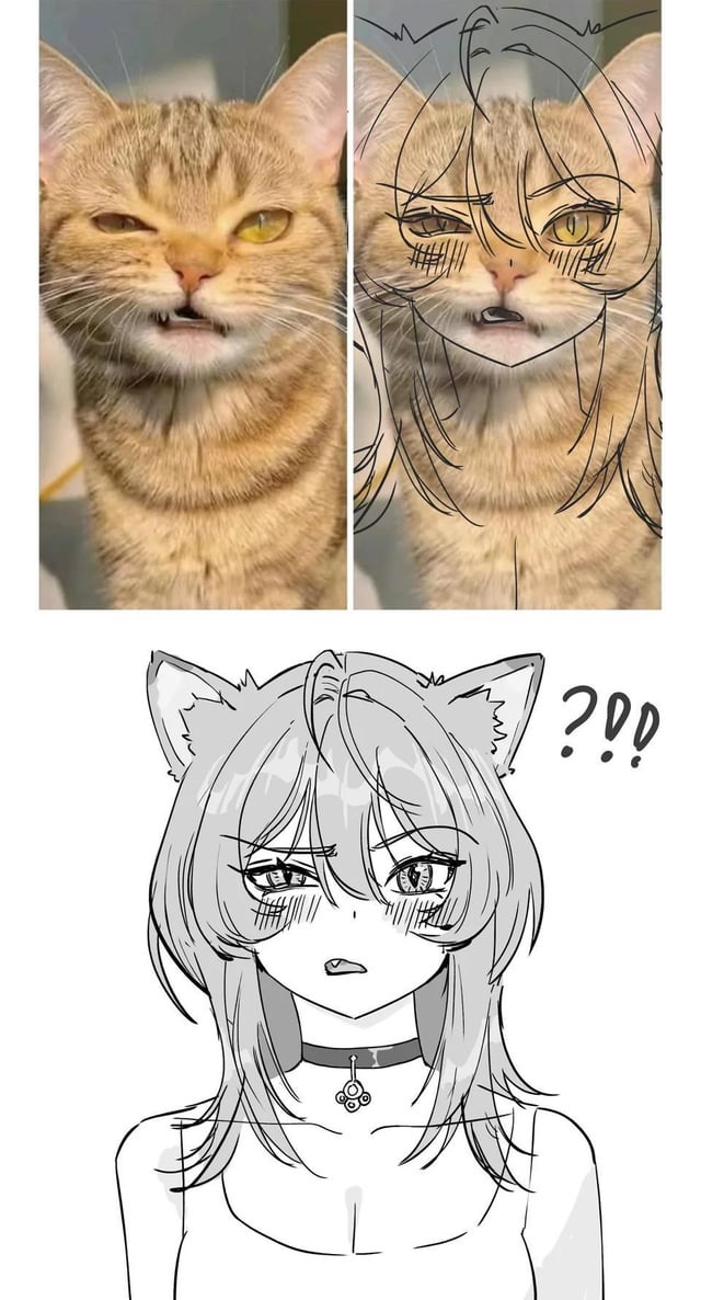 AnimeTweetsHQ's tweet photo. Meow 😍 https://t.co/0mrwG5nJ4m
