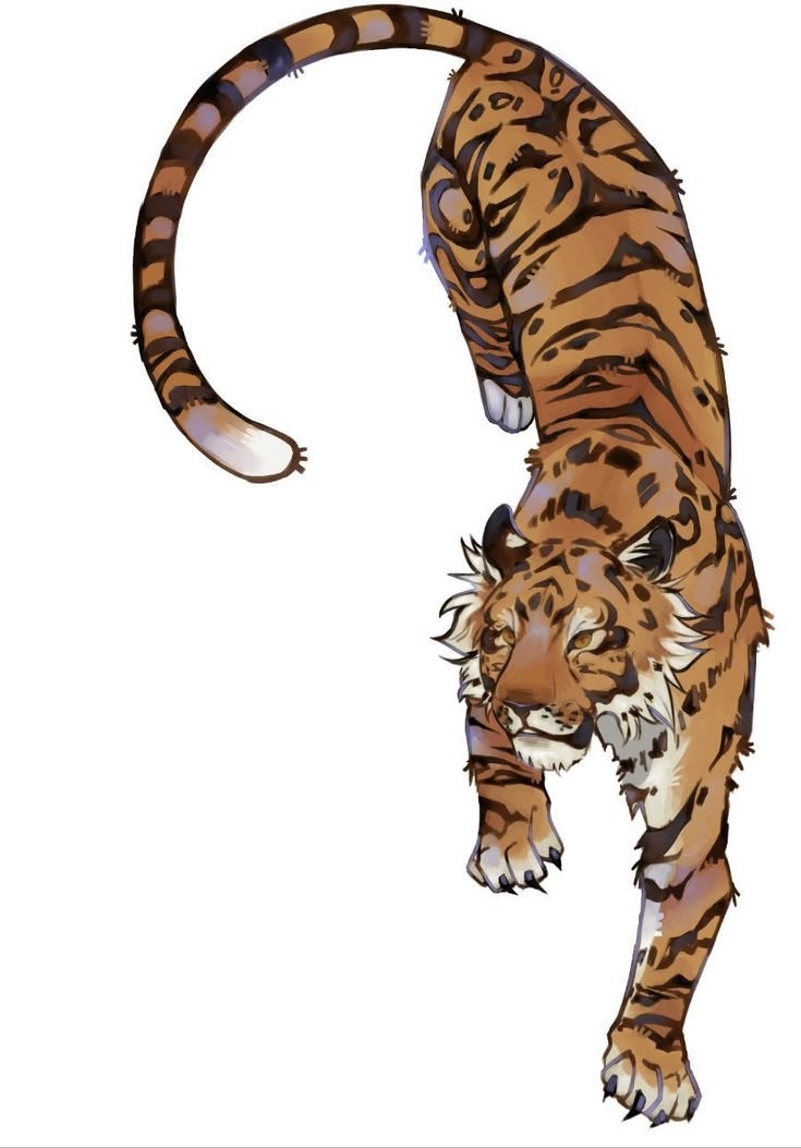 Compotadraw's tweet photo. Tiger
🐯
• 
#artㅤㅤㅤㅤ #OCㅤㅤ #drawingart #drawingㅤㅤ #drawings #artists #BootyWork https://t.co/ocE20wTbFK