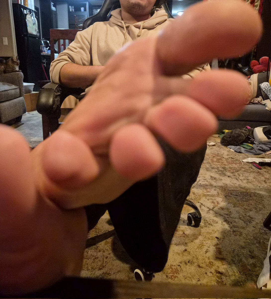 steelpanzer's tweet photo. Freshly washed paws https://t.co/cTXUVbxSkF