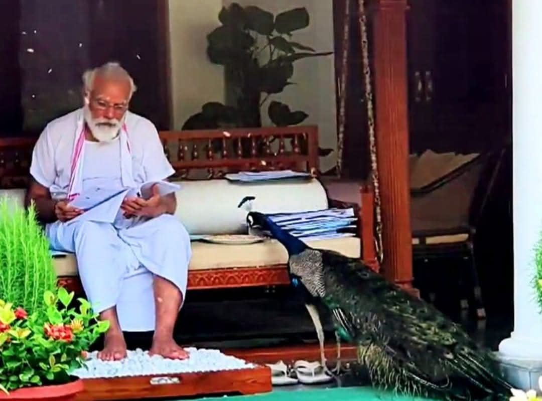 ChandragarhFort's tweet photo. @mujifren Meanwhile @EduMinOfIndia, UGC, MHA, and @MLJ_GoI seem to have been sleeping on an elite couch, intoxicated by power tht the Grand Old Man earned thru yrs of relentless hard work.
These b!tches always let him down.
I feel bad for him.
I'll write on him👇 someday. https://t.co/DiNBbwx4AC