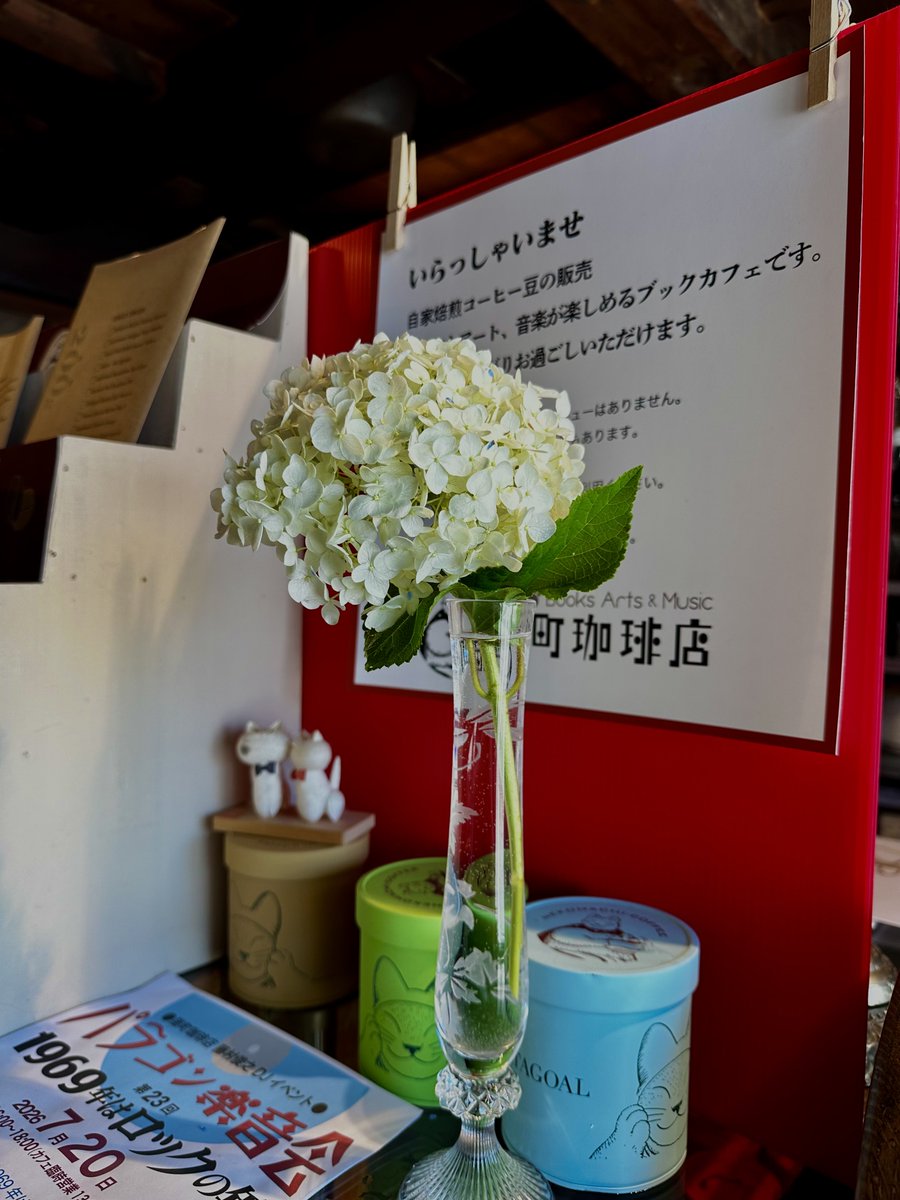 furonekostudio's tweet photo. 【猫町珈琲店】今日のお出迎えの花は白いアナベル、店内には紫陽花盛り合わせ。このところ晴れて暑い日が続いていますが、新潟の梅雨明け予想は7月下旬とのこと。お席もお冷やも水出しアイス珈琲もよくよく冷やしてお待ちしております。　#村上市　#小町坂上　#自家焙煎カフェ https://t.co/Z8kJOxDEcV